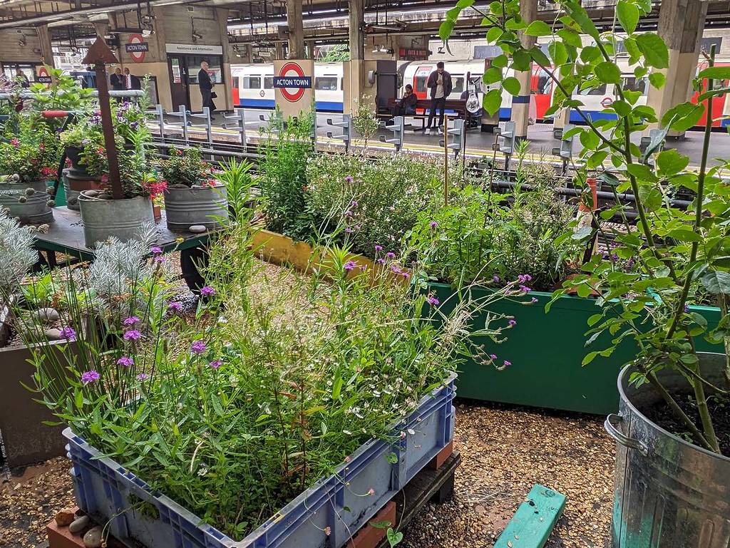 The Winners Of TfL’s Annual Gardening Competition Have Been Announced