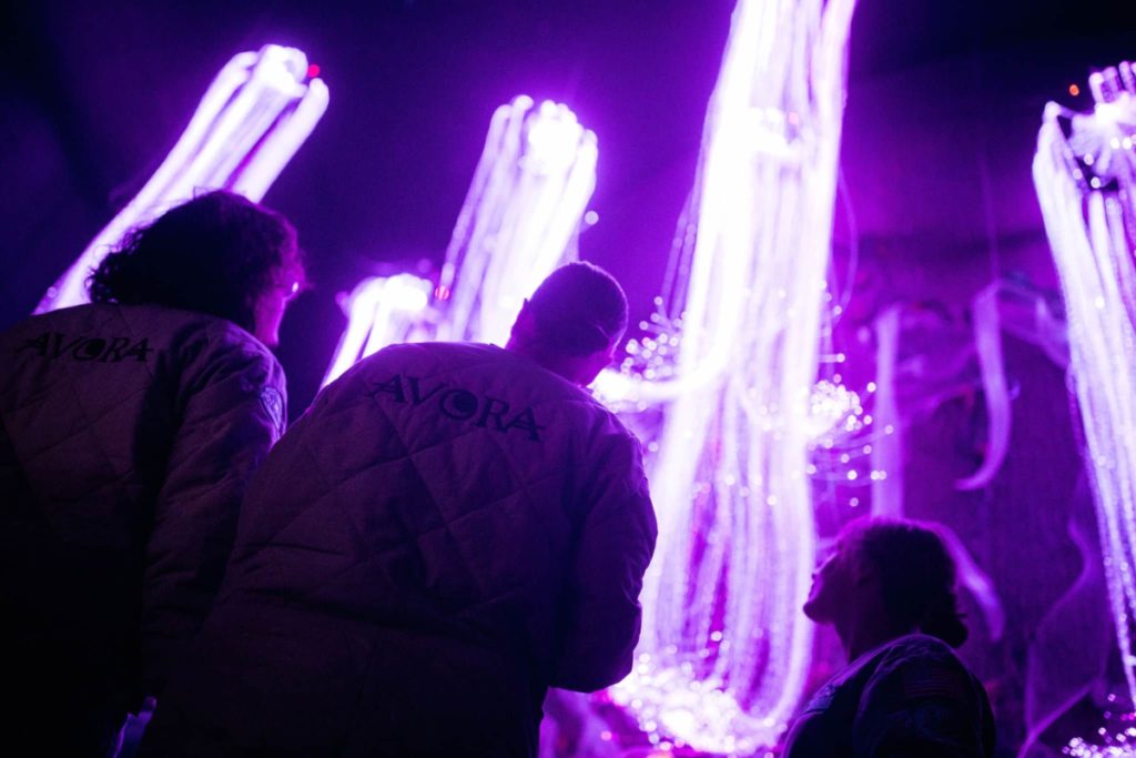 A group of friends under the bioluminescence at the Avora cocktail experience