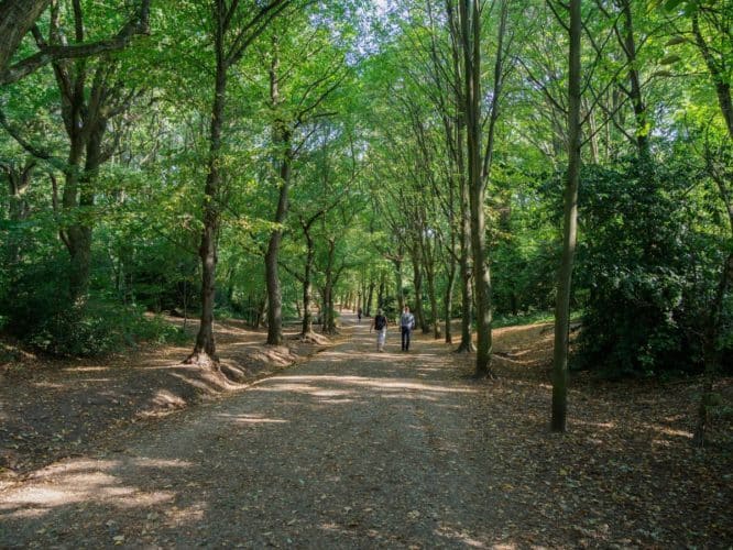 A couple wandering through the woods of Hampstead Heath in North London – one of the best things to do for a first date in London