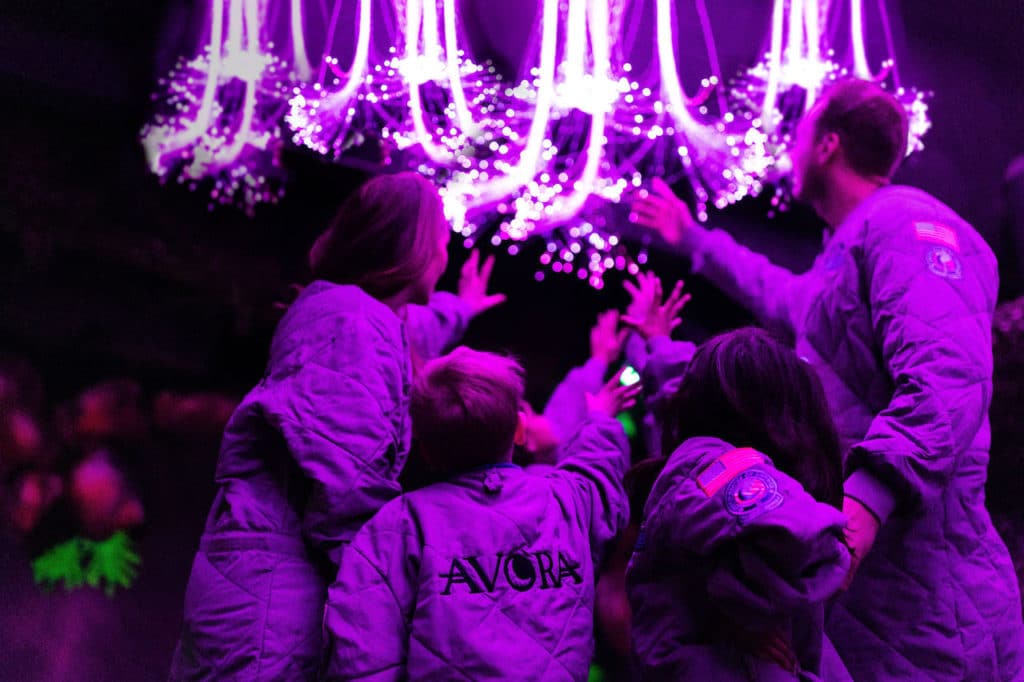 a family admiring the bioluminescence at Avora Kids