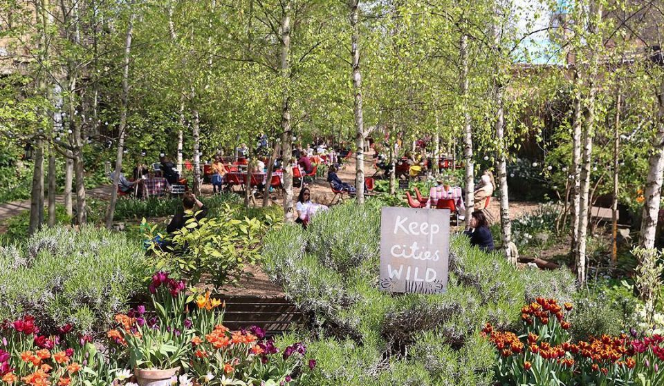 This Disused Railway Line Is Now A Gorgeous Community Garden • Dalston Eastern Curve Garden