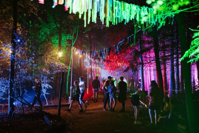 Amazing scenery and lighting at Electric Woodlands festival, one of the best London festivals