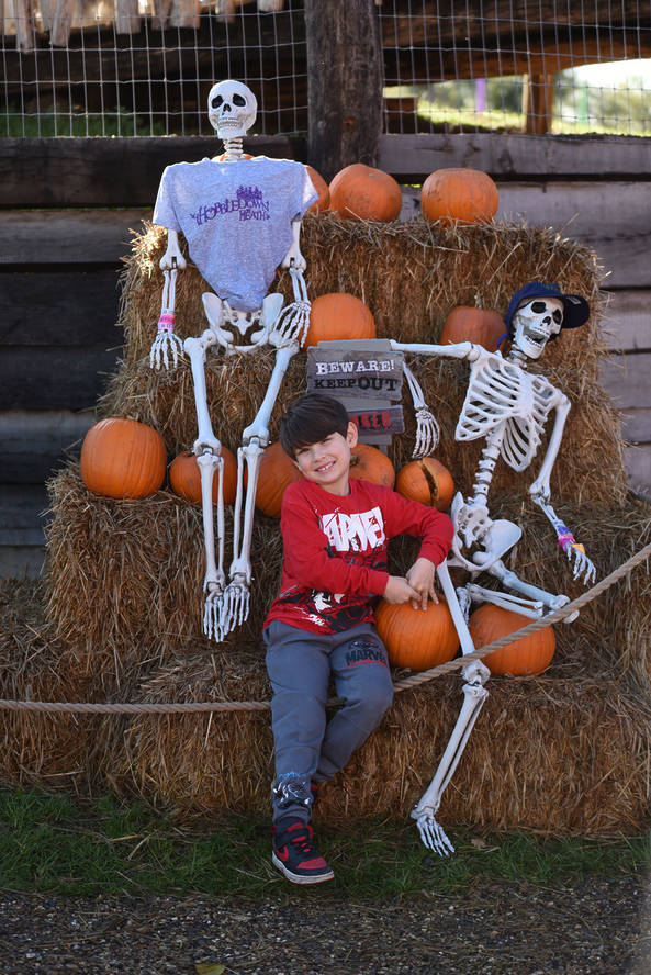 A kid sat with some skeletons and pumpkins at Hobbledown Heath, one of the best things to do for Halloween in London
