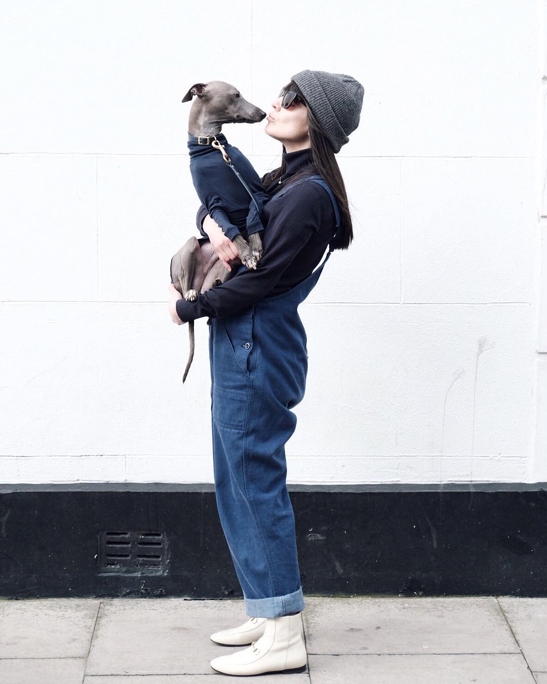 Lloyd the whippet and his lovely owner Paz posing for a photograph 