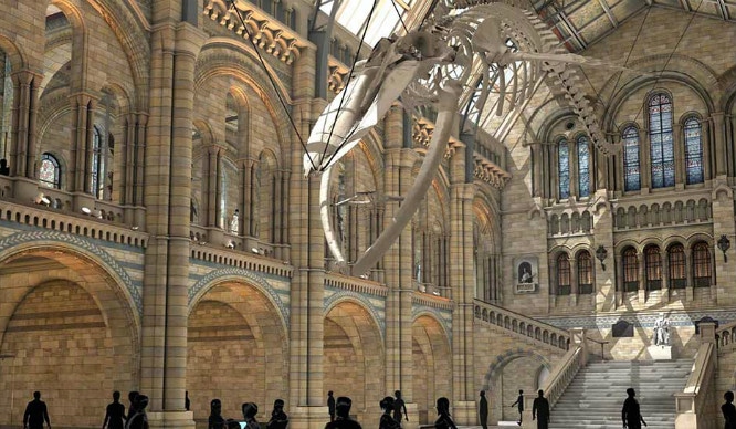 The Natural History Museum’s Blue Whale Replacement For Dippy The Dinosaur Is Coming Soon