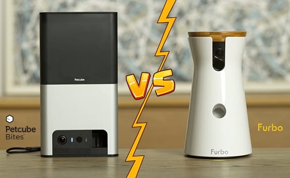 Petcube Bites 2 vs Furbo Pet Cameras — Testing and Comparing