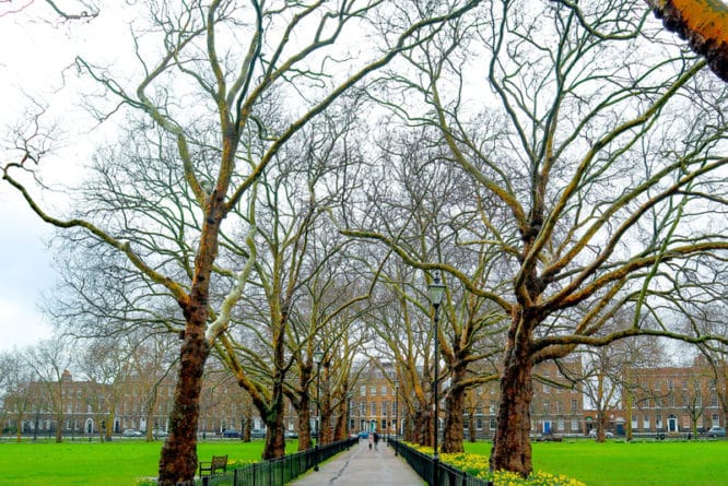 A tree-lined path through Highbury Fields in Islington, North London