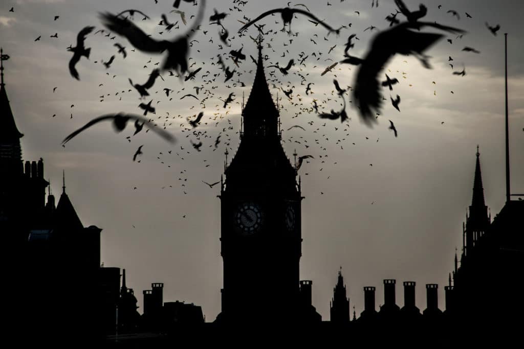 A shadowy picture of Big Ben surrounded by birds and a dark sky in Central London
