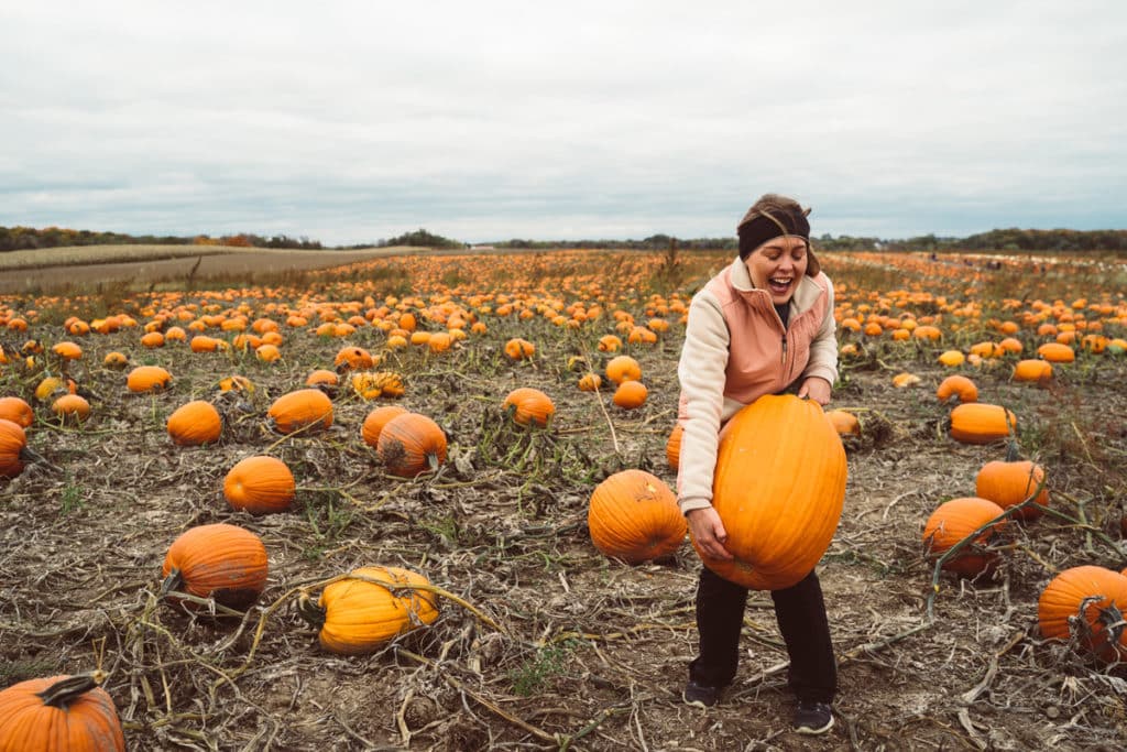 A woman picking a pumpkin at a farm which offers some of the best pumpkin picking near London