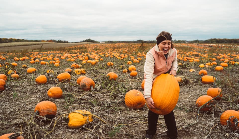 10 Spots Where You Can Go Pumpkin Picking Near London