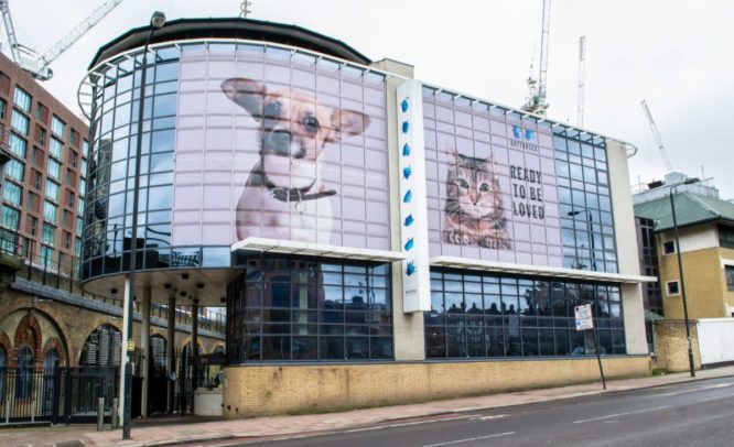 The outside of Battersea dogs and cats home