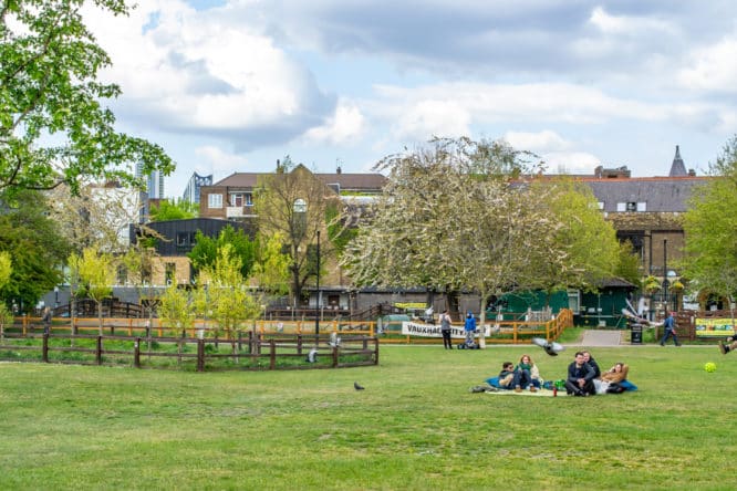 A picture of Vauxhall City Farm, one of the best farms in London, from the grass of Vauxhall Pleasure Gardens