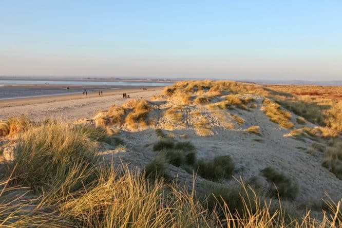 The sun dappled sand dunes of West Wittering beach in West Sussex, one of the best hidden beaches near London