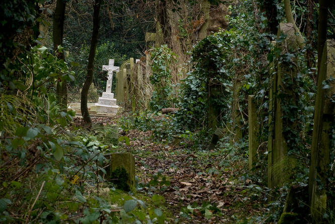 A moody image of a cross surrounded by foliage in Highgate Cemetery 