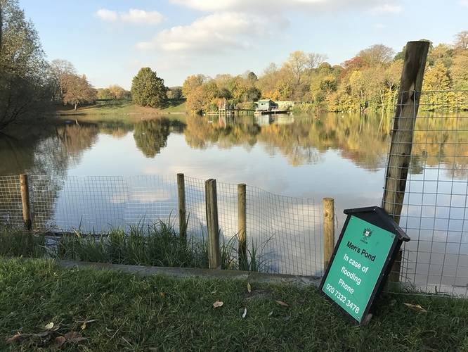 The serene surroundings of Highgate Men's Pond on Hampstead Heath