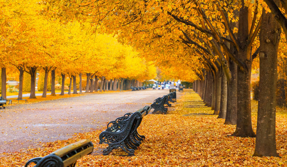 10 Stunning London Walks For An Autumn Weekend Wander