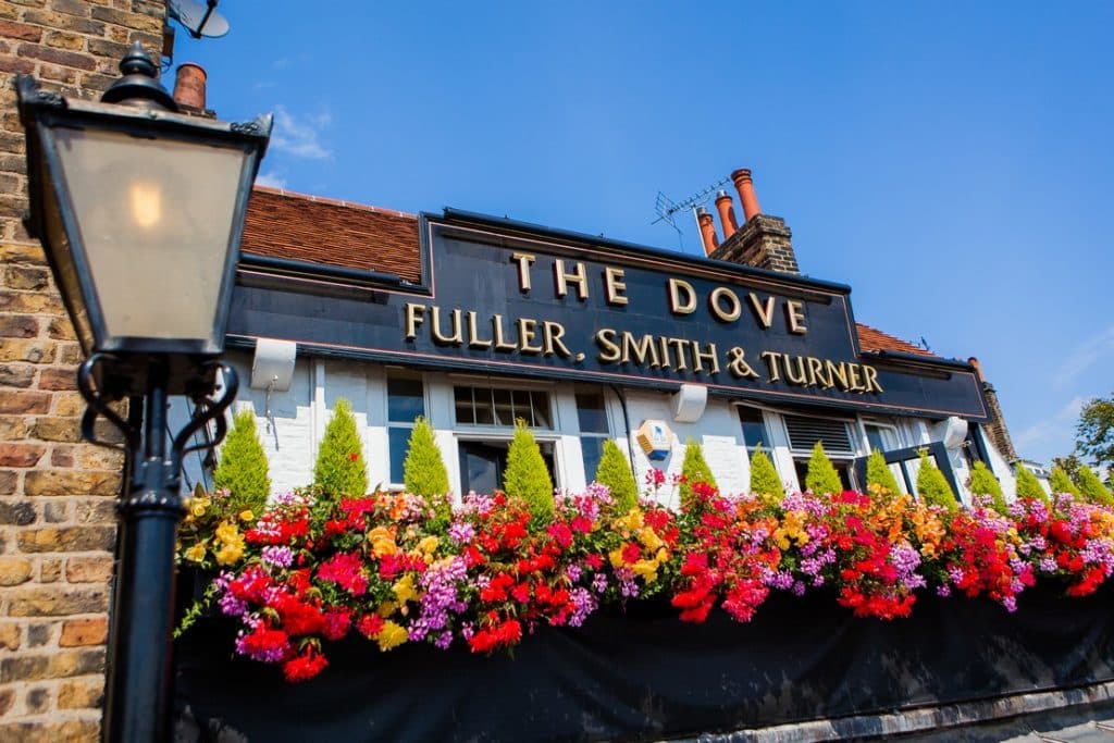 the sign for the riverside pub 'the dove', with a colourful display of flowers underneath
