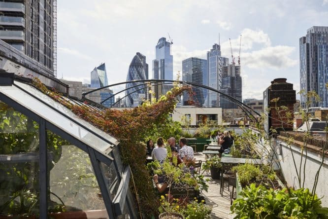 A rooftop garden with views out over the city and people enjoying food and drinks amidst the foliage