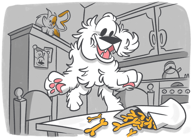 Your Guide to Finding Top-Quality Dog Treats